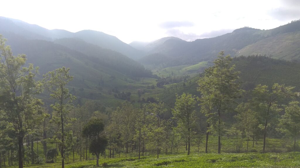 ooty climate