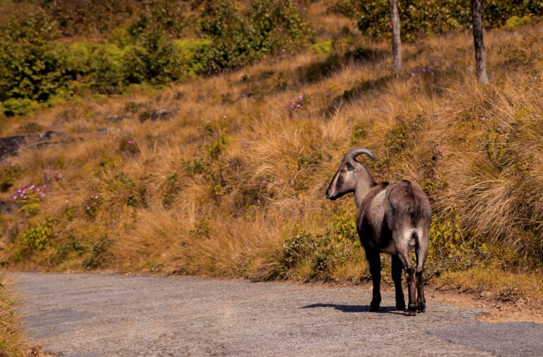 nandhu kumar oguthirsyhq unsplash